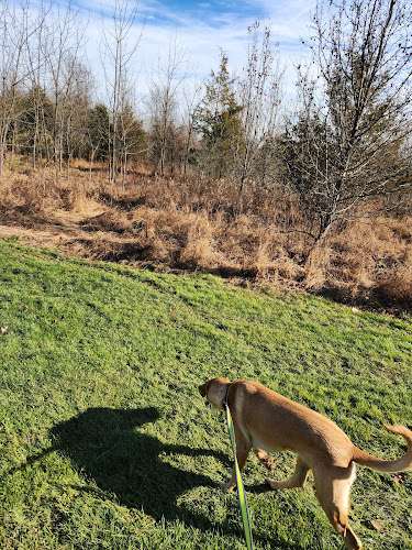 Heebner Park