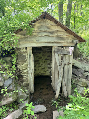 Hunsberger Woods