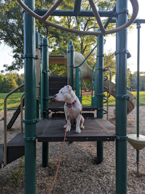 Palmer Park
