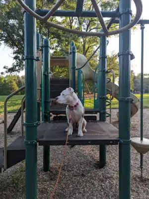 Palmer Park