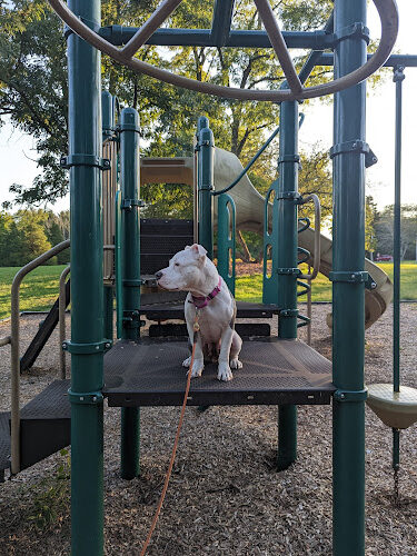 Palmer Park