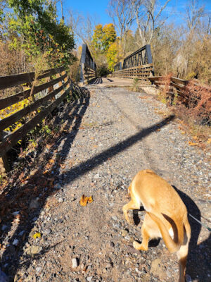 Skippack Creek Loop Hike