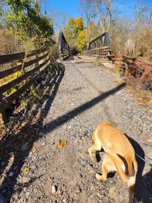 Skippack Creek Loop Hike