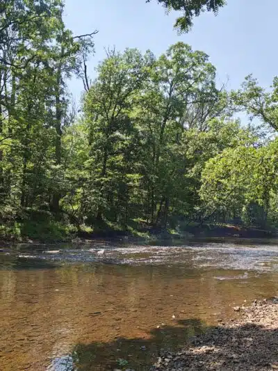 Skippack Creek Loop Hike - Collegeville, PA
