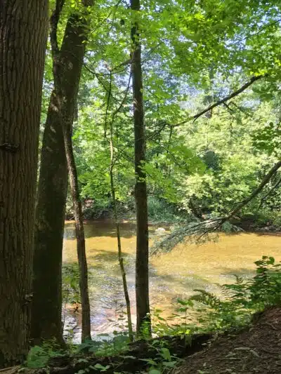 Skippack Creek Loop Hike - Collegeville, PA