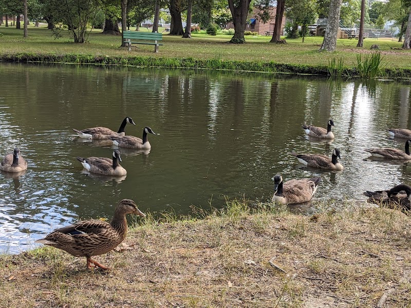 Knight Park - Collingswood, NJ