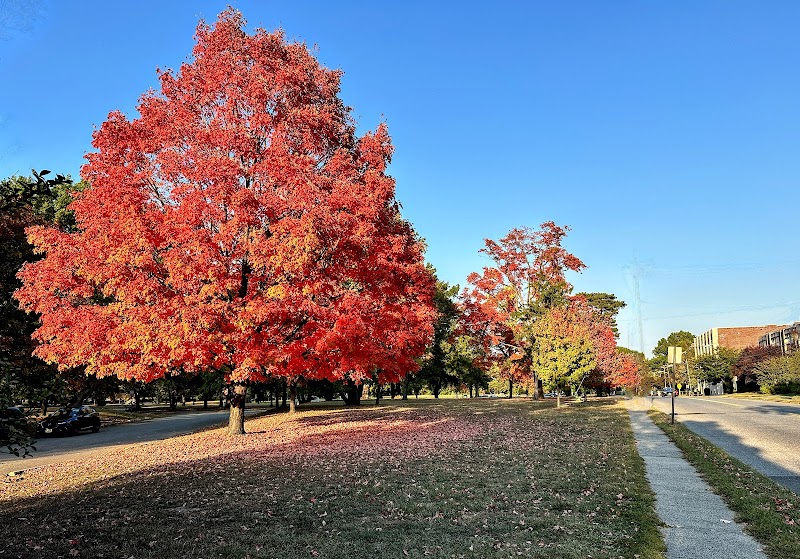 Knight Park - Collingswood, NJ
