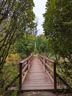 Knight Park