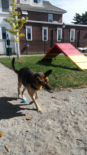 Mutts on Main Dog Park Members Only