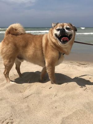 Hagar Park/Beach