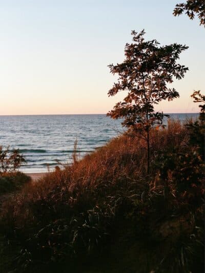 Roadside Park - Coloma,
