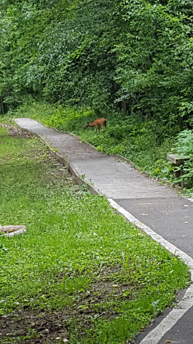 Bauer Park