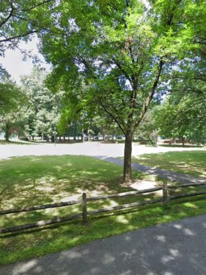 Dog park