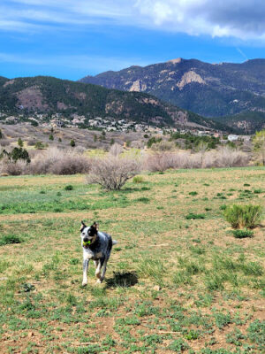 Bear Creek Dog Park Entrance