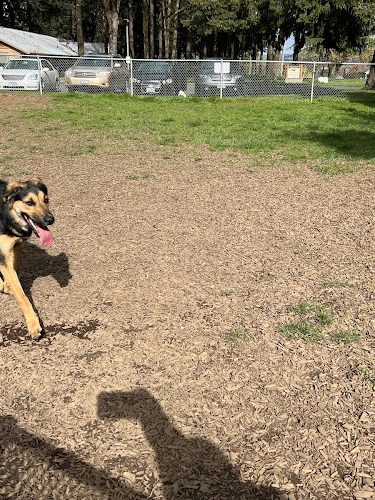 Columbia City Dog Park - Columbia City, OR