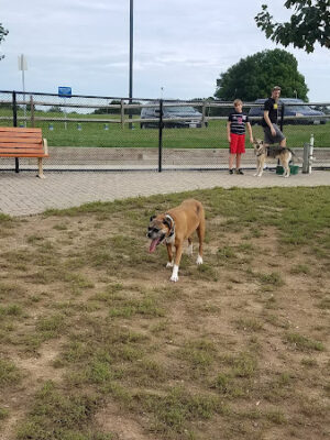 Columbia DogPark