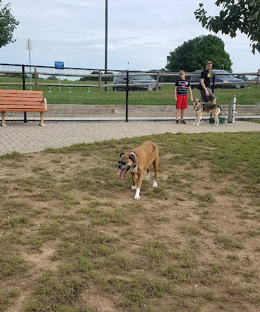 Columbia DogPark