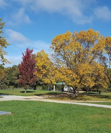 Dog Park