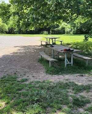 Garth Nature Area Dog Park