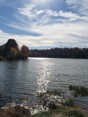Twin Lakes Dog Park