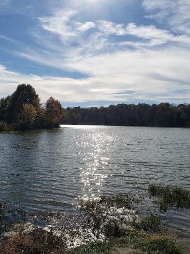 Twin Lakes Dog Park