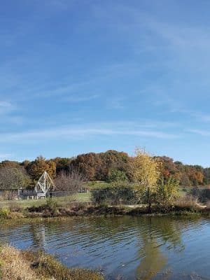 Twin Lakes Dog Park