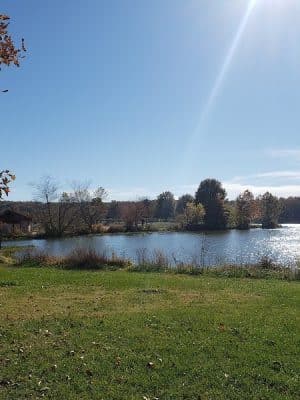 Twin Lakes Dog Park