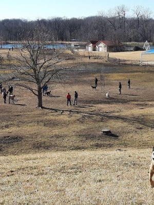 Twin Lakes Dog Park