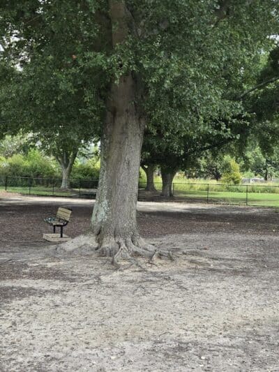 Page Ellington Park Dog Park - Columbia, SC