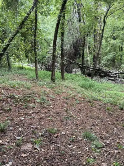 Saluda Shoals Park - Columbia, SC