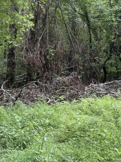 Saluda Shoals Park - Columbia, SC