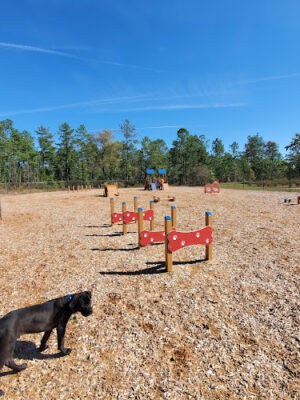 Fort Jackson Dog Park