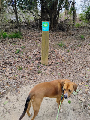Granby Park