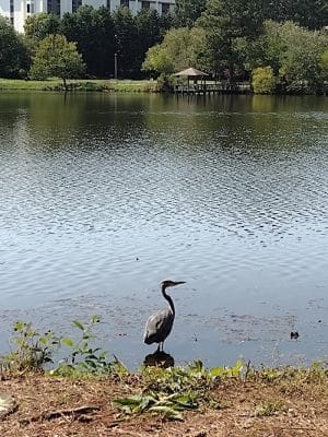 Harbison Place Walking Trail
