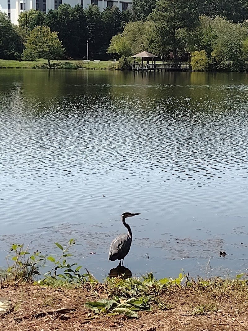 Harbison Place Walking Trail - Columbia, SC