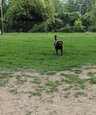 NOMA (North Main) Bark Park - Members only