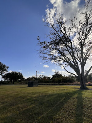 Page Ellington Park