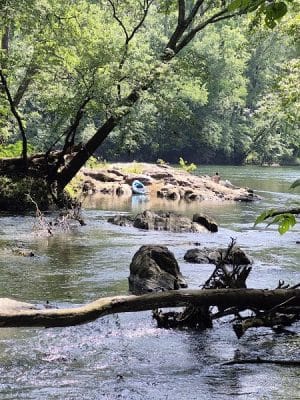Saluda Shoals Park