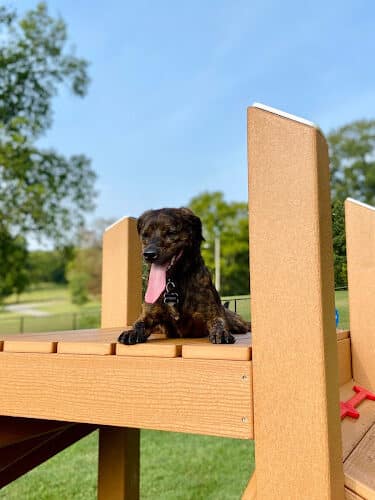 Muletown Bark Park