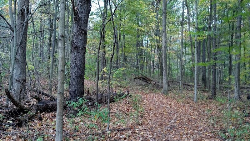 Zemmer Park - Columbiaville, MI