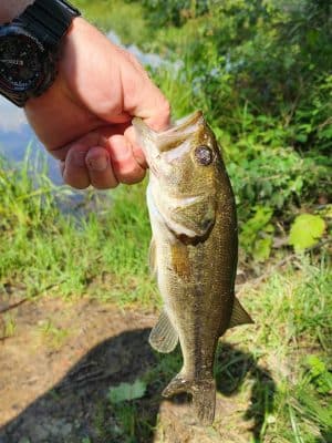 Grouse Ridge Public Fishing Area