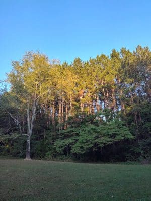 Grouse Ridge Public Fishing Area