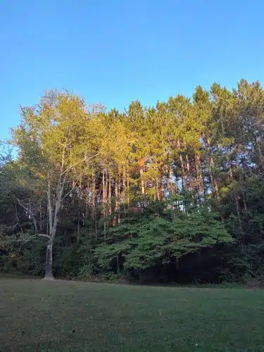 Grouse Ridge Public Fishing Area