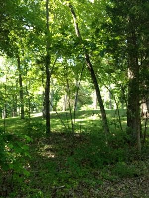 Grouse Ridge Public Fishing Area
