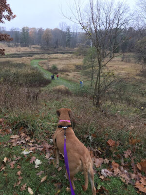 Columbus County Park