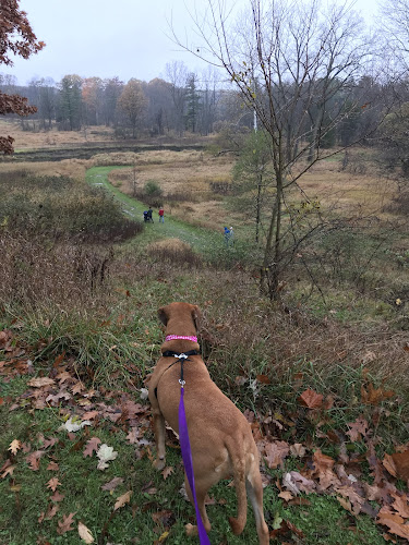 Columbus County Park