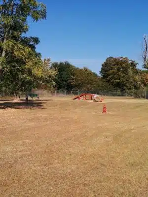 Bark Park