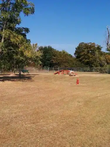 Bark Park