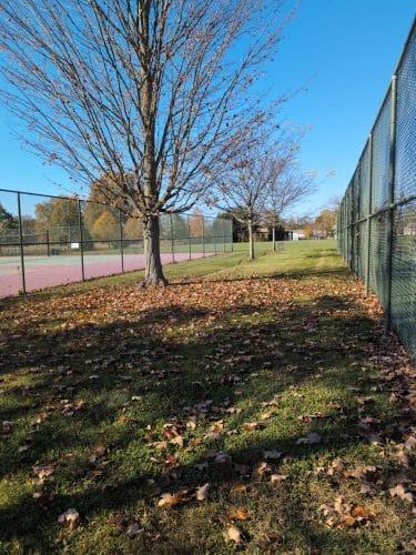 Mansfield Township Community Park