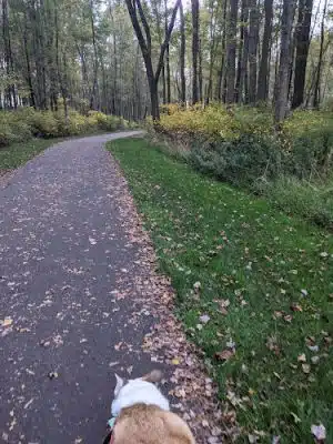 Mansfield Township Community Park